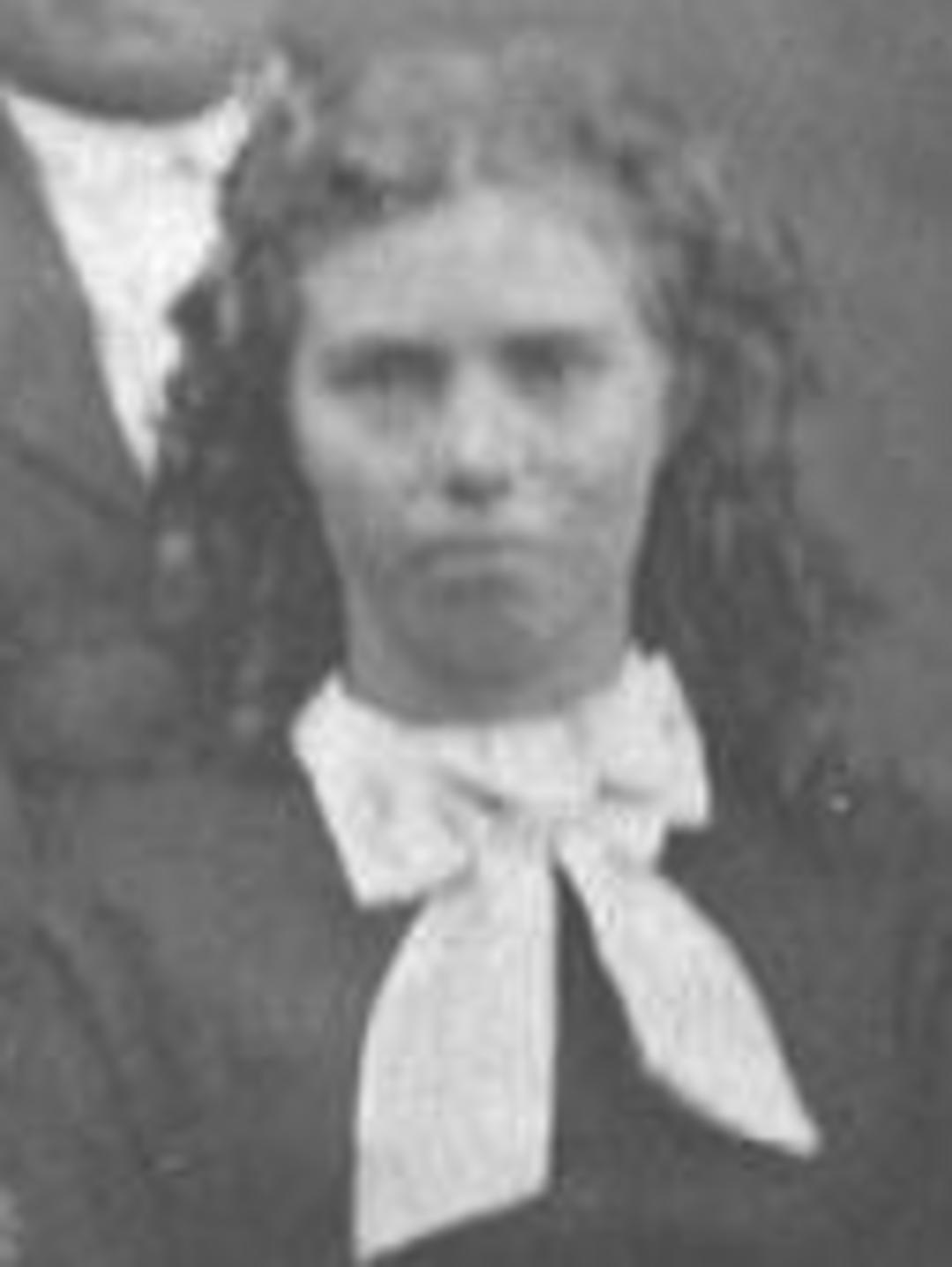 Amy Elizabeth Webster (1856 - 1934) Profile